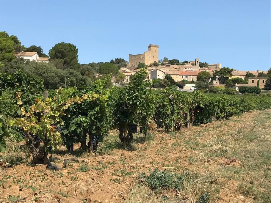 Gites En B&B Le Clos De La Cerise ชาโตเนิฟ-ดู-ปาป ภายนอก รูปภาพ