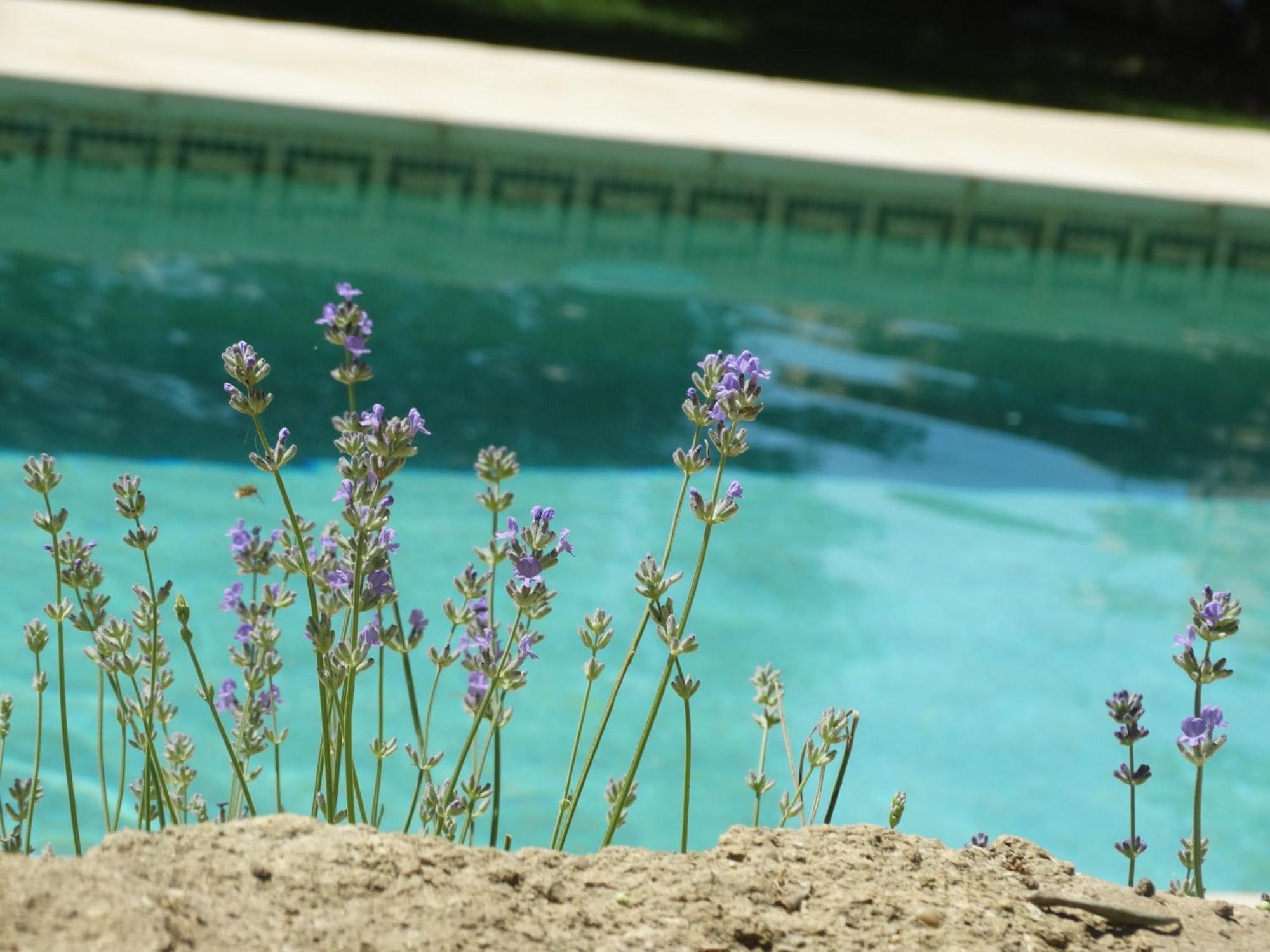 Gites En B&B Le Clos De La Cerise ชาโตเนิฟ-ดู-ปาป ภายนอก รูปภาพ