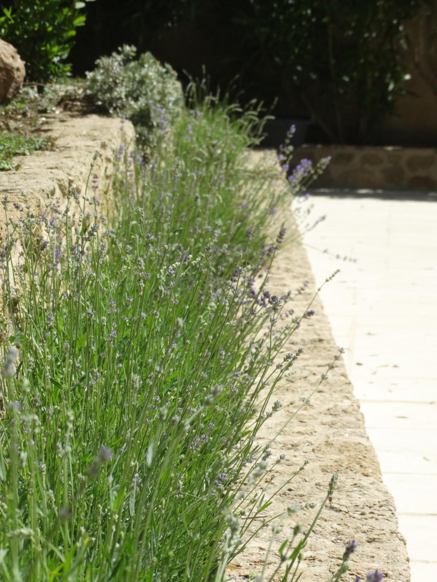 Gites En B&B Le Clos De La Cerise ชาโตเนิฟ-ดู-ปาป ภายนอก รูปภาพ